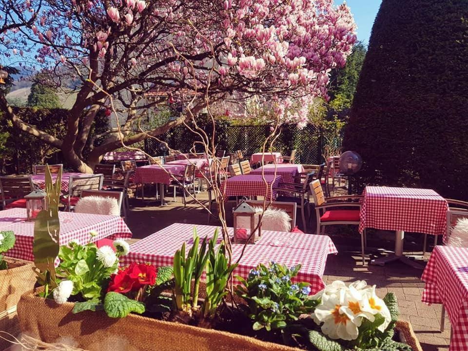 Hotel Restaurant Aux Sapins Thann Kültér fotó
