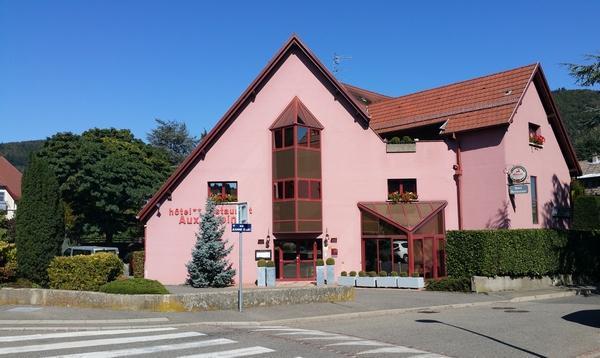 Hotel Restaurant Aux Sapins Thann Kültér fotó